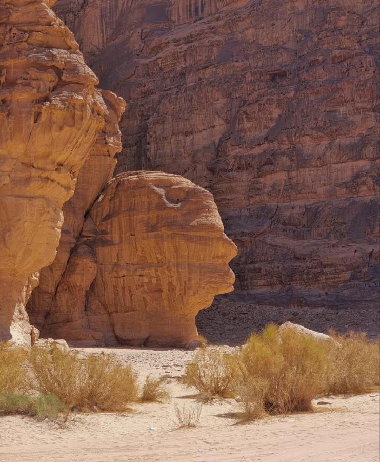 Amanda Luxury Camp Wadi Rum Exterior foto